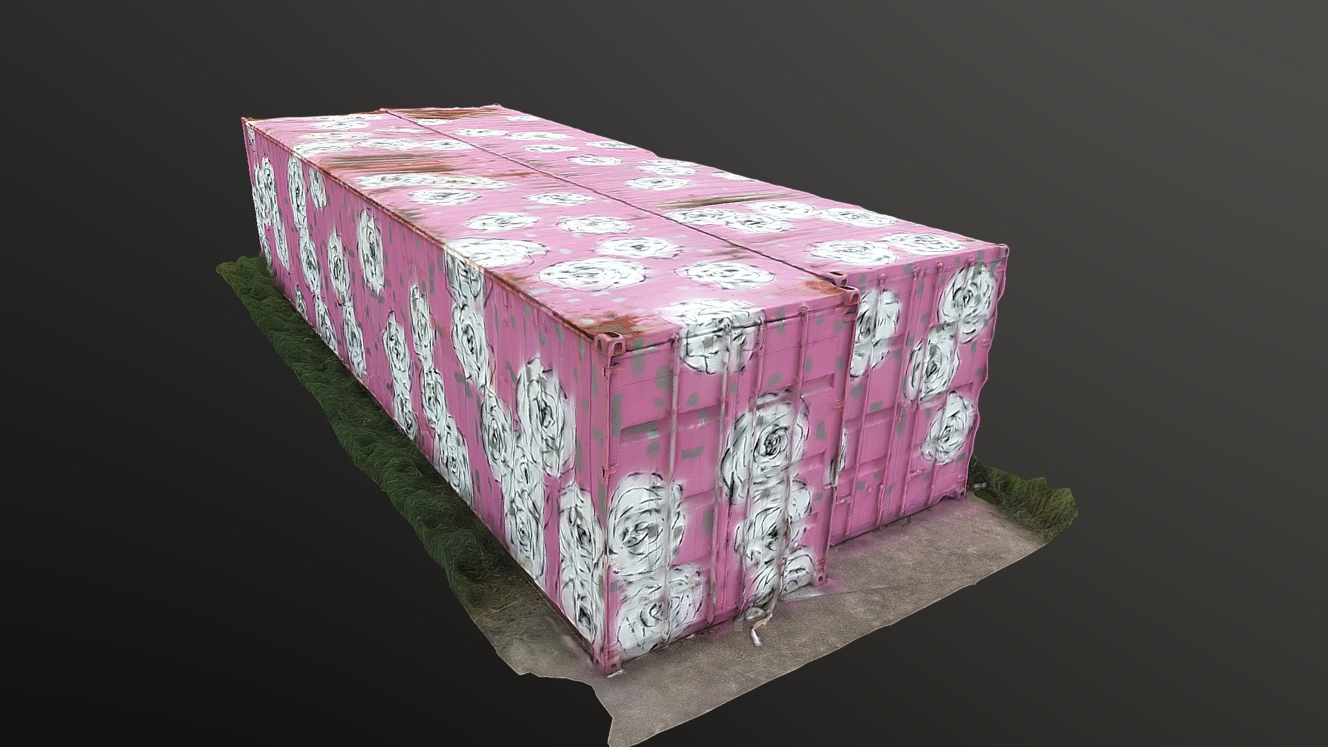 pink flower shipping container (photogrammetry)