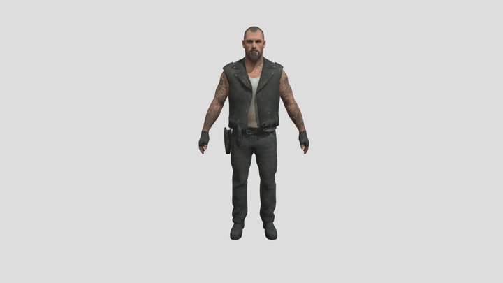 Francis 3D Model