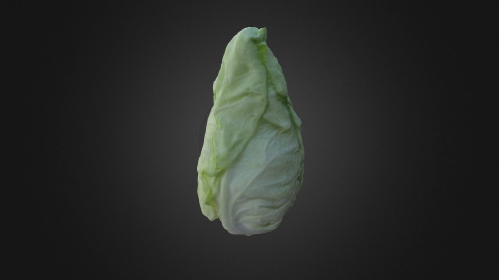 Col Picuda - 3D model by Ingeniería Toposol (@fjrm0010) [0df47e0 ...