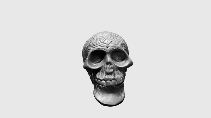 Skull V1 3D Model