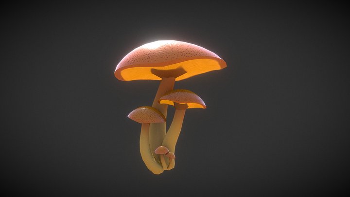 Mushrooms 3D Model