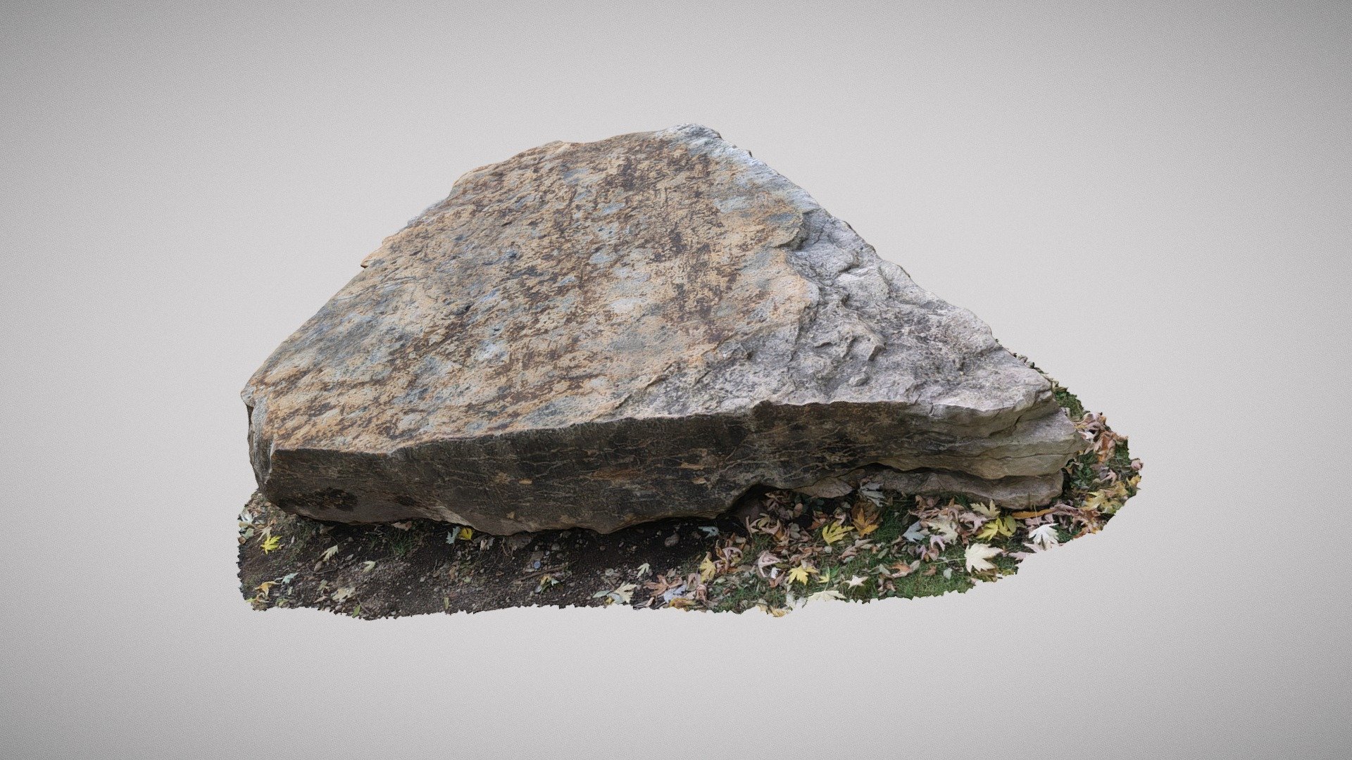 Limestone Boulder from Treuchtlingen