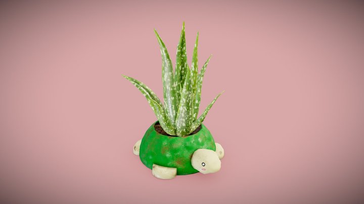 Aloe vera (flower pot) 3D Model