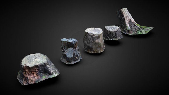 Scanned Tree stumps - Collection 3D Model
