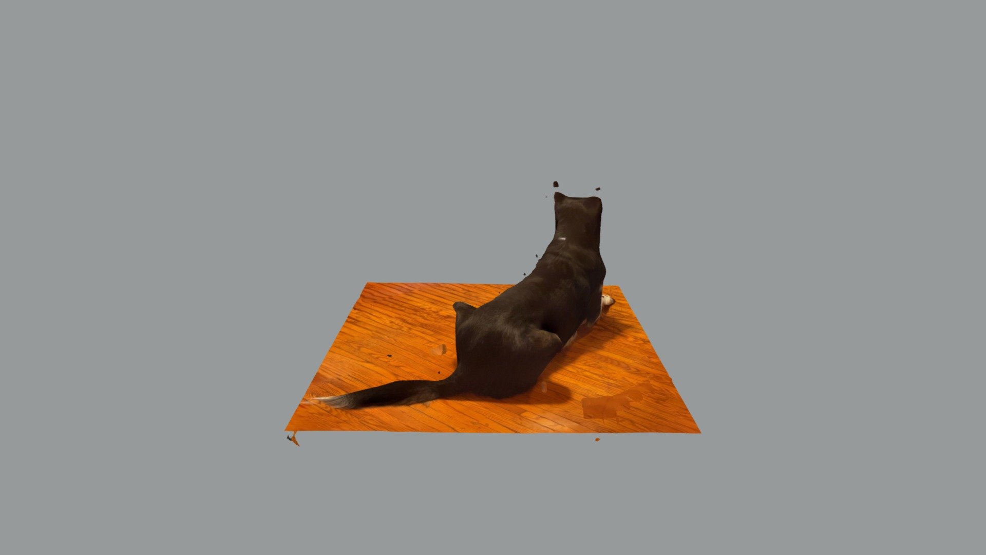 Sitting Hermes