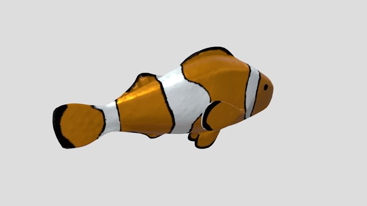 Klovnefisk_retopo_ferdig_modell_2 3D Model