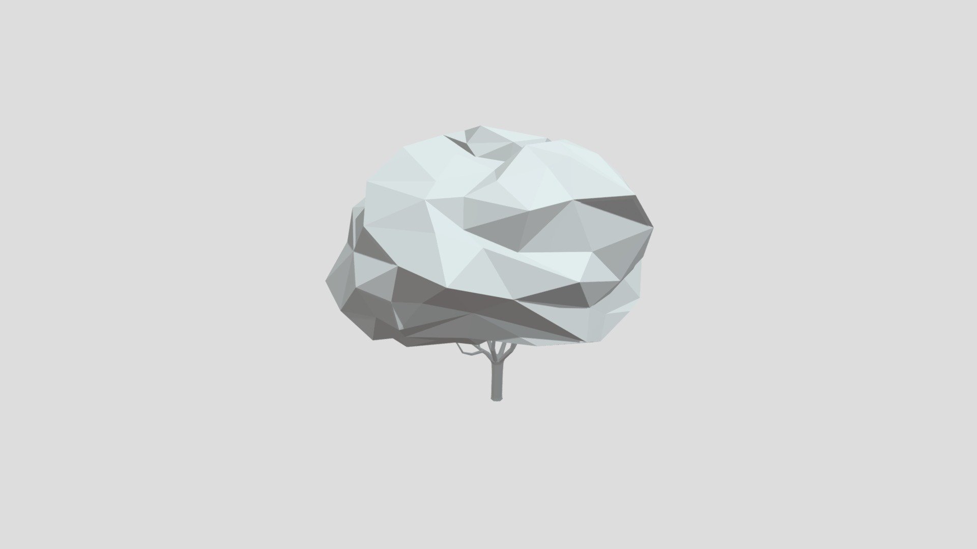 Cherry tree from Poly by Google