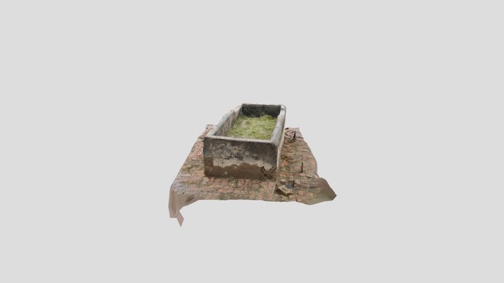 Animal feeding Area