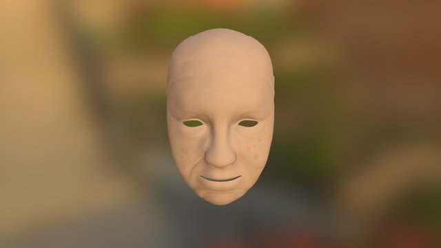 Face 3D Model