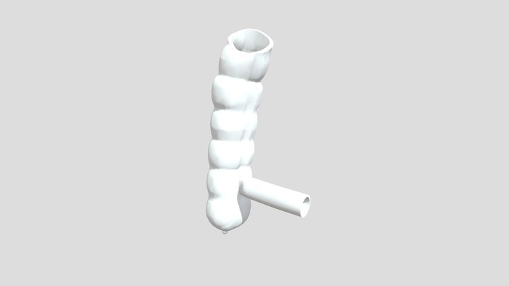 Anastomoz Bez Vibuhaniya 3D Model