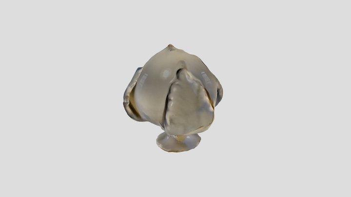 New Qlone 3D Model