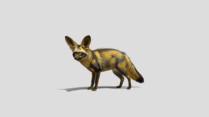 Bat-eared Fox – Modelo 3D gratuito STL