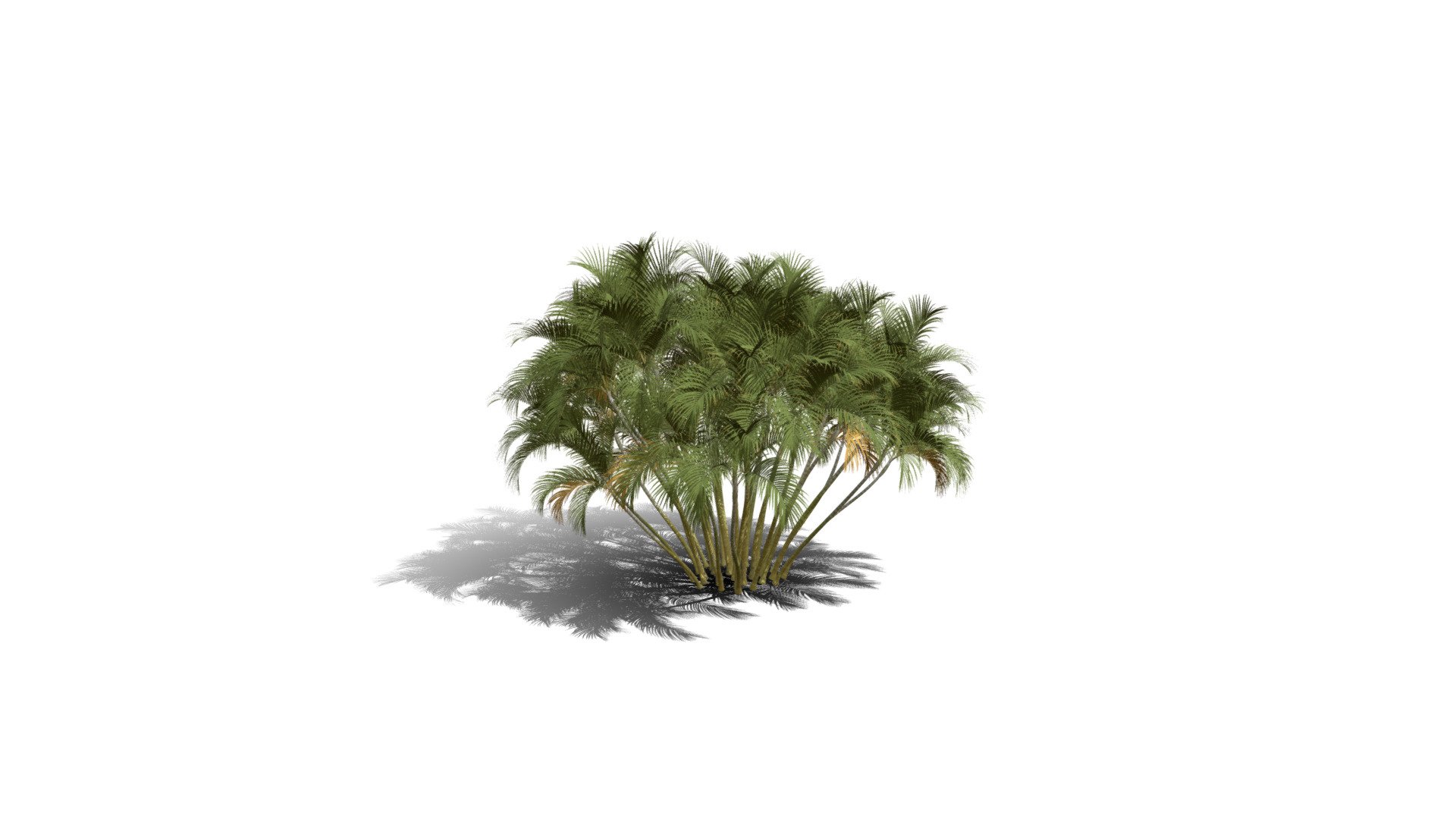 Realistic HD Butterfly palm (44/62) — Sketchfab embed 3D viewer