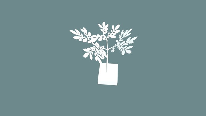 Corpse Plant Leaf Stage V1 3D Model