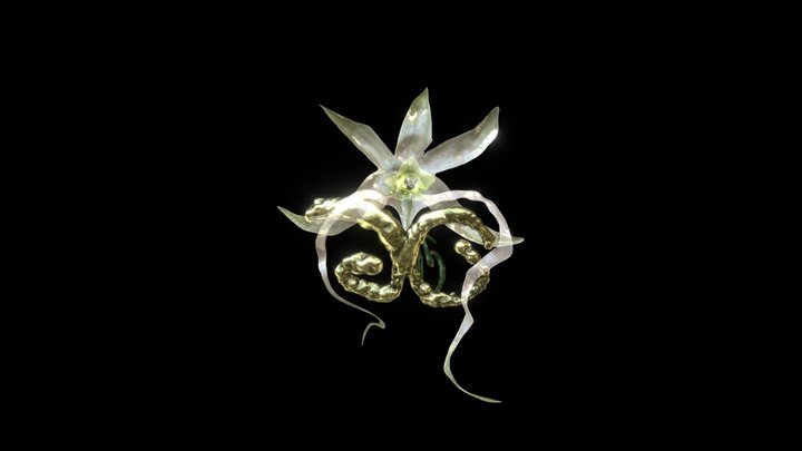 ghost orhid 3D Model