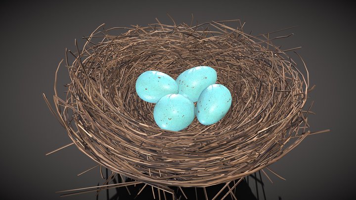 Robin Nest - Free Download 3D Model