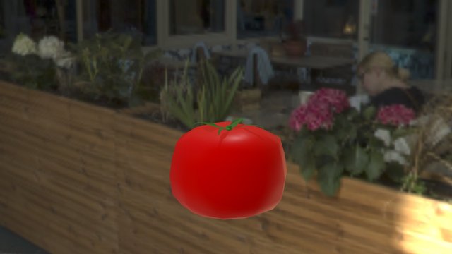 Tomato 3D Model