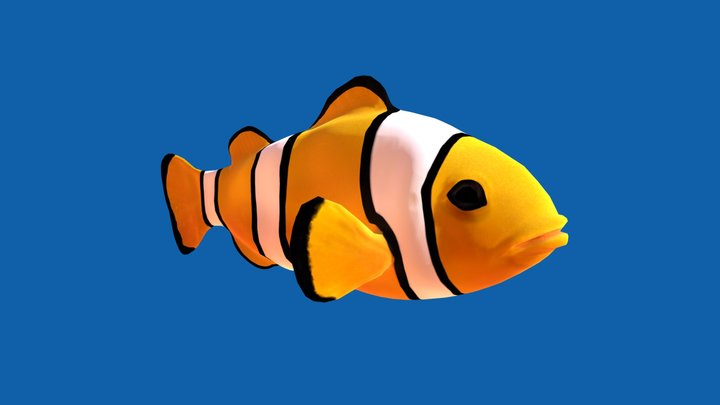 Stylized Clown Fish Model 3D Model