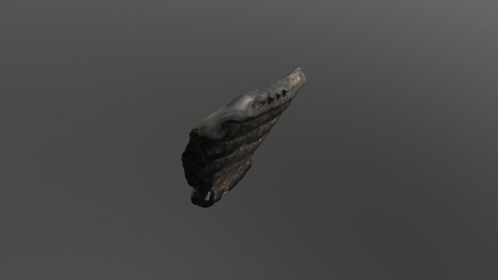 керамика 14 3D Model