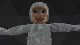 Capuchin Player Model - 3D model by CapuchinMonster (@SpaceIsFelipe ...