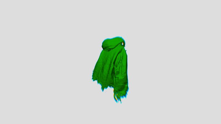 Green-green-coat-edits 3D Model