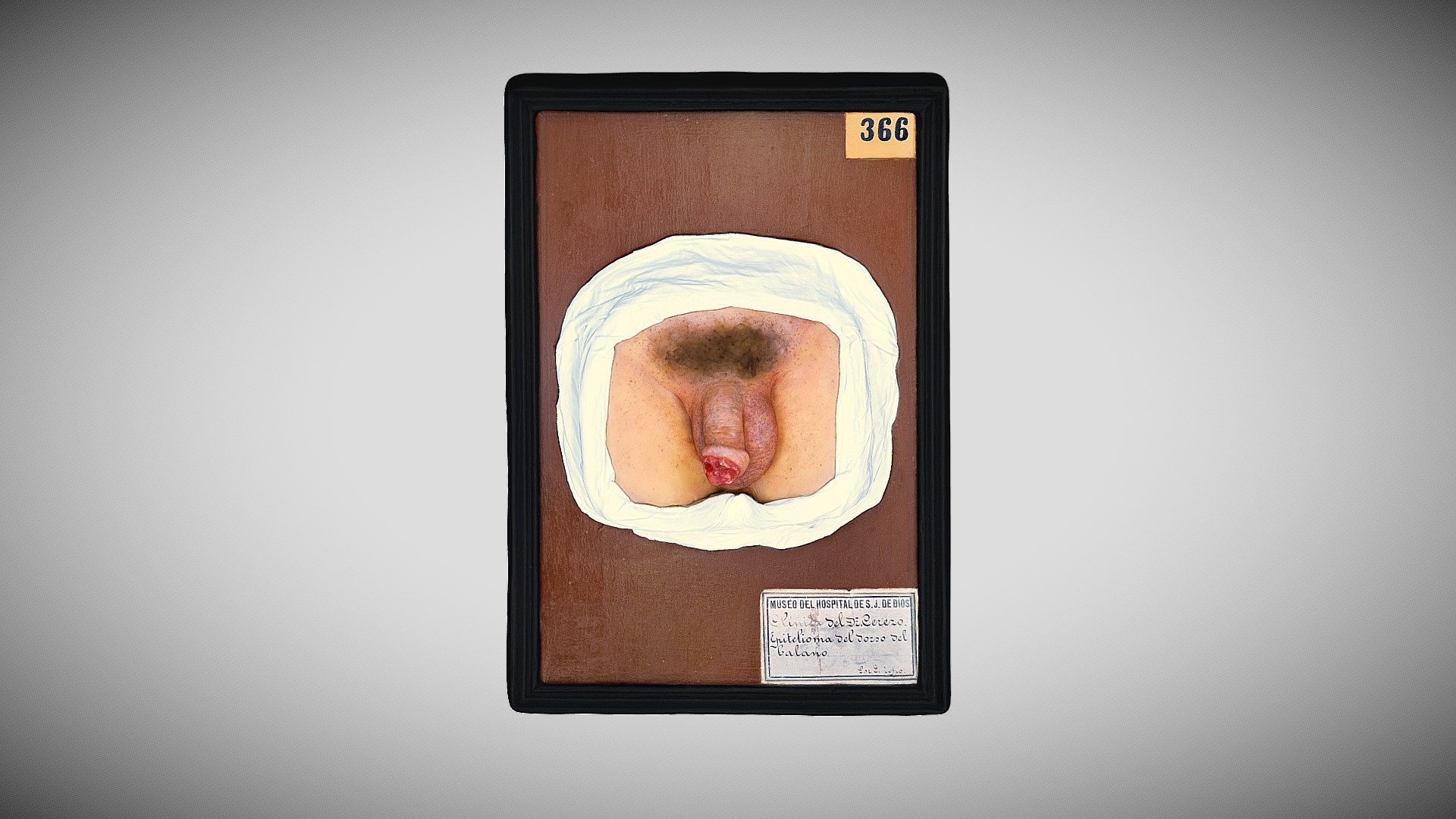414 - 263 — Sketchfab embed 3D viewer