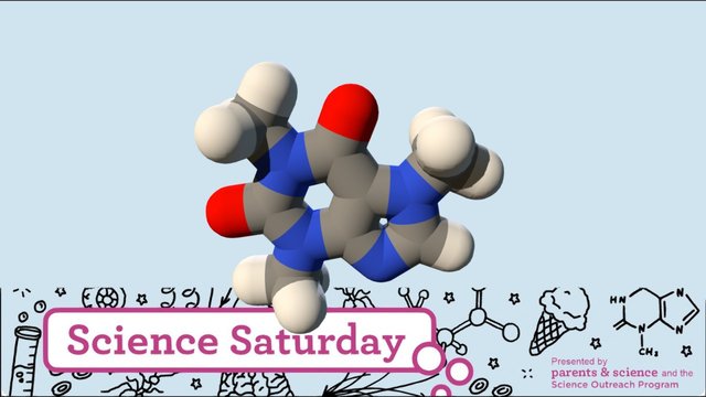 Small Molecule | Caffeine | PubChem CID 2519 3D Model