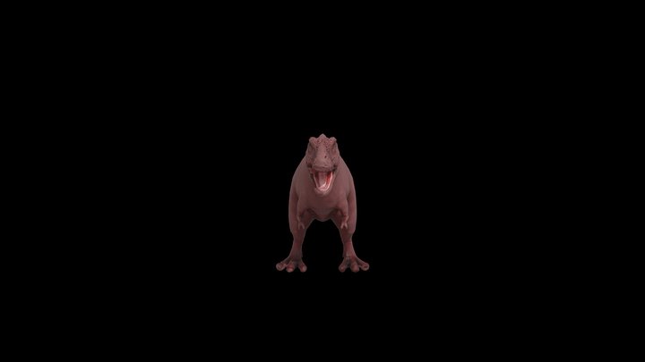 retopo_lowpoly 3D Model