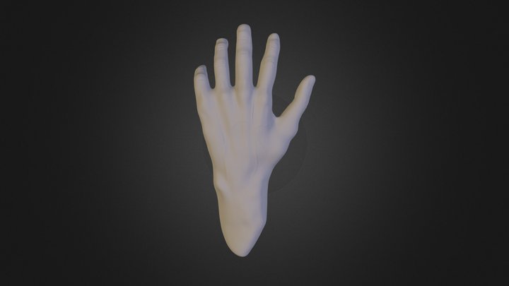 Hand By Averin AV 3D Model