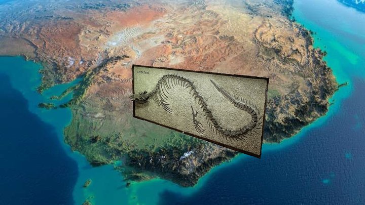 Mosasaur Fossil 3D Model