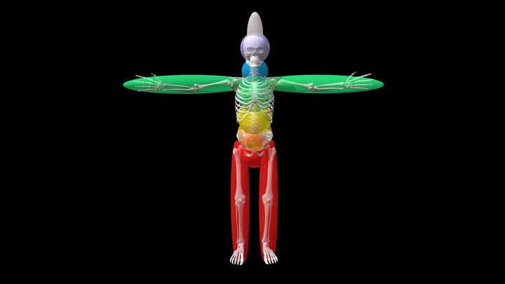 5 Total Awareness -- Chakras Fulfill Inner Space 3D Model