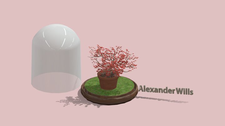 Week 8 - Japanese Maple Plant - Wills 3D Model