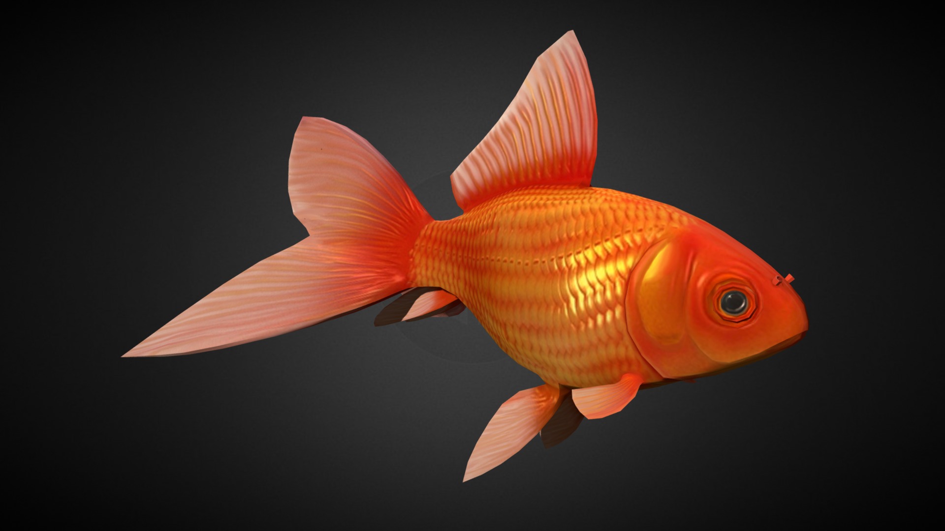 3D model Goldfish - This is a 3D model of the Goldfish. The 3D model is about a close-up of a fish.