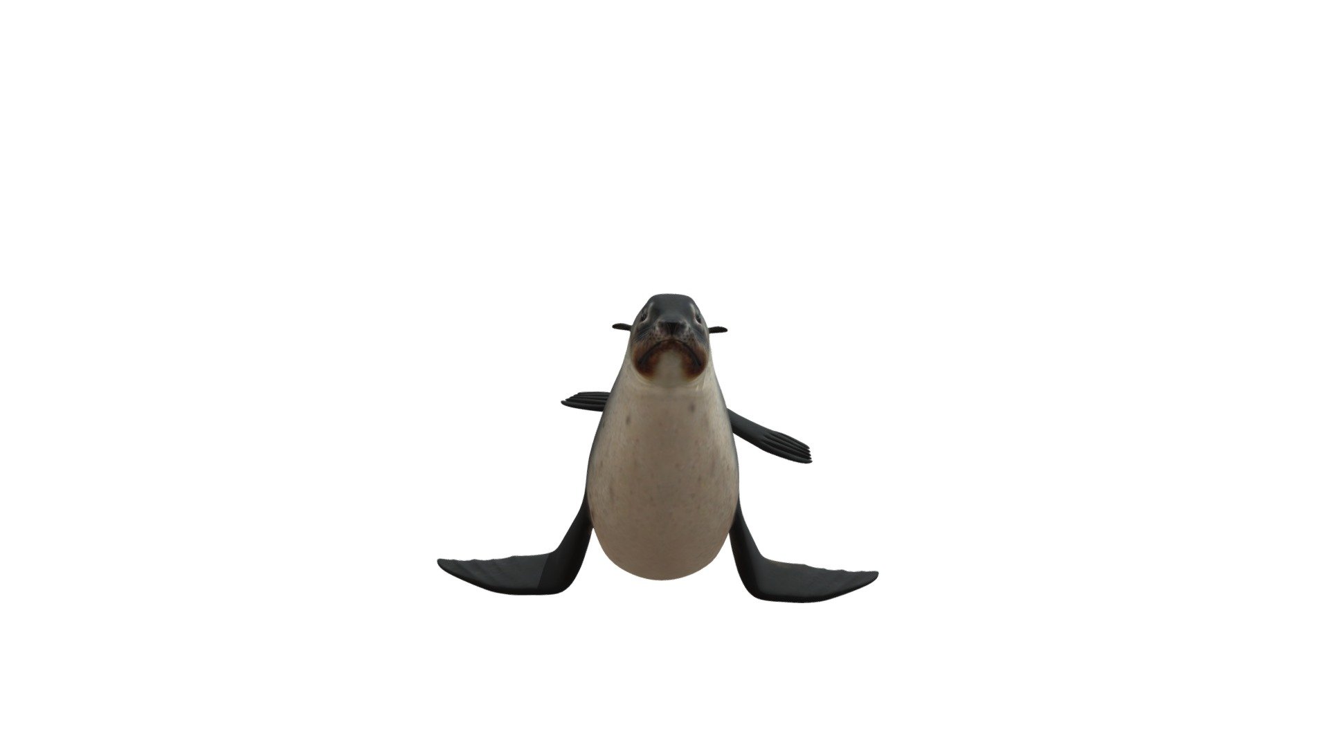 Тюлень - Download Free 3D model by maria29121994 [0e3c292] - Sketchfab