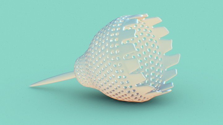Radiolarian 3D Model