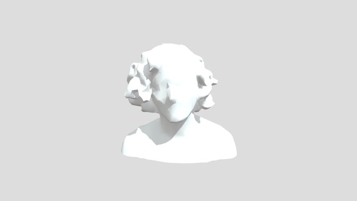 Diane's head 3D Model