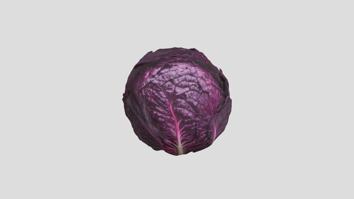 red cabbage 3D Model