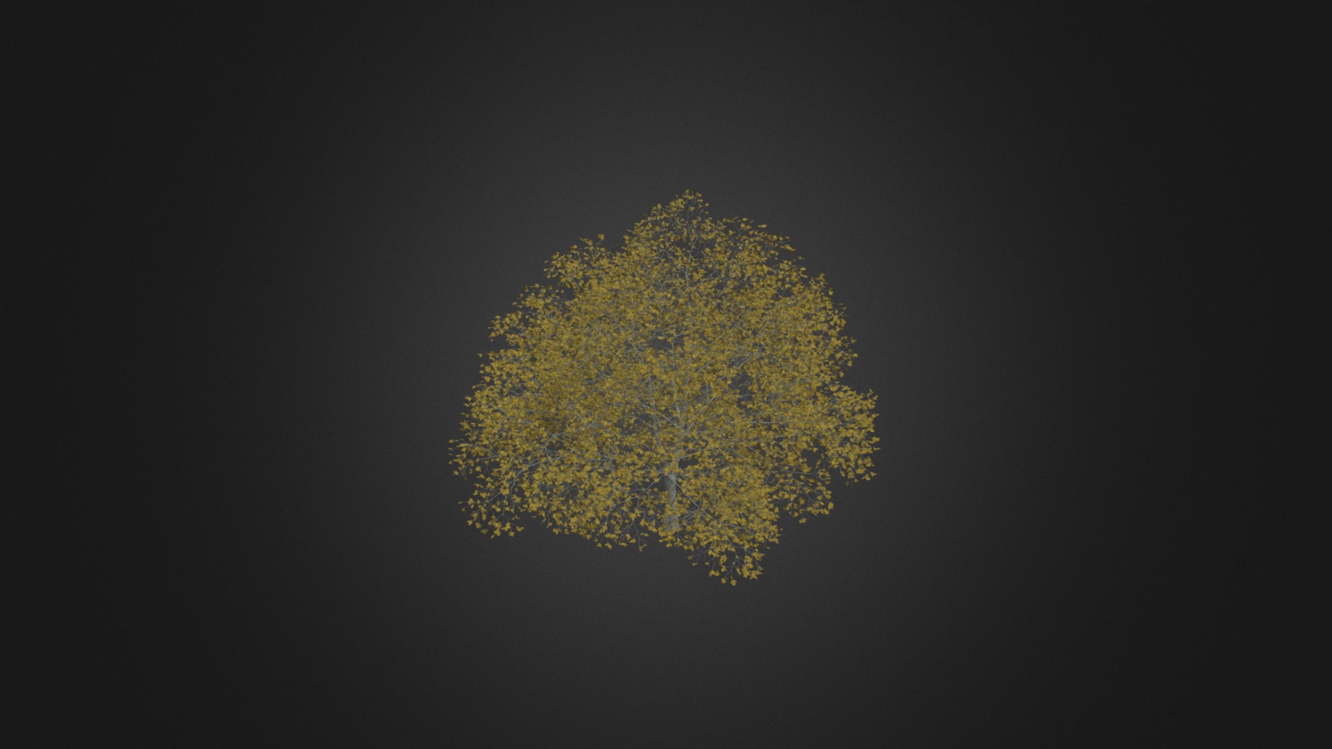 3D model American Beech 8M (Autumn) - This is a 3D model of the American Beech 8M (Autumn). The 3D model is about a tree with yellow leaves.