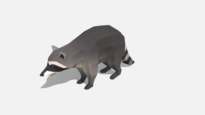 Low poly raccoon (Procyon lotor) 3D Model
