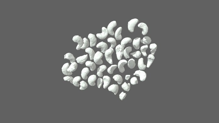 Cashews 3D Model