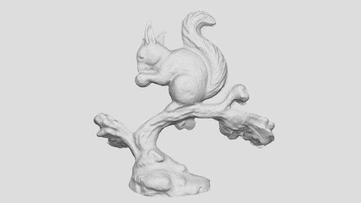Squirrel on tree 3D scan 3D Model