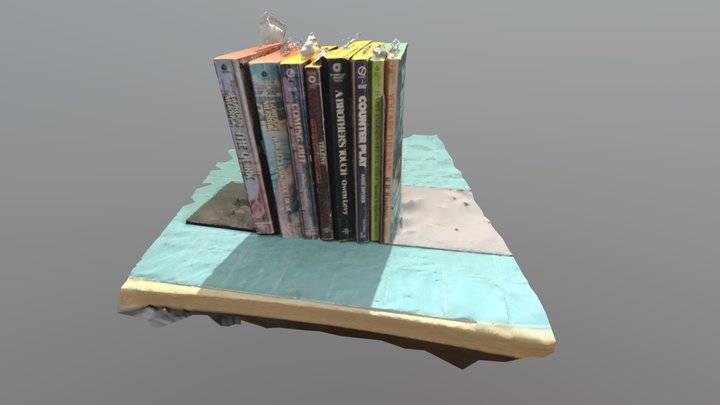 Bookshelf of seized pulp books 3D Model