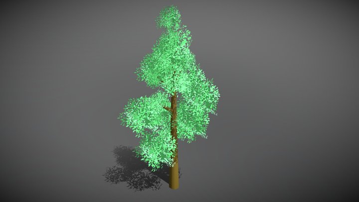 Anime tree 1