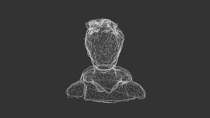 Wire Scan Mesh 3D Model