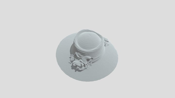 Hat_1 3D Model