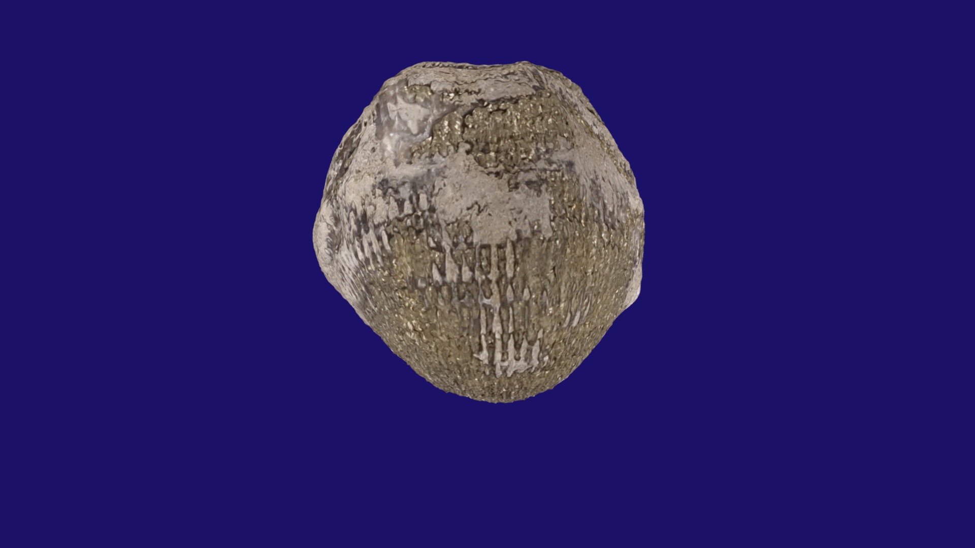 3D model Atrypa reticularis (Brachiopod) - This is a 3D model of the Atrypa reticularis (Brachiopod). The 3D model is about a close-up of a rock.