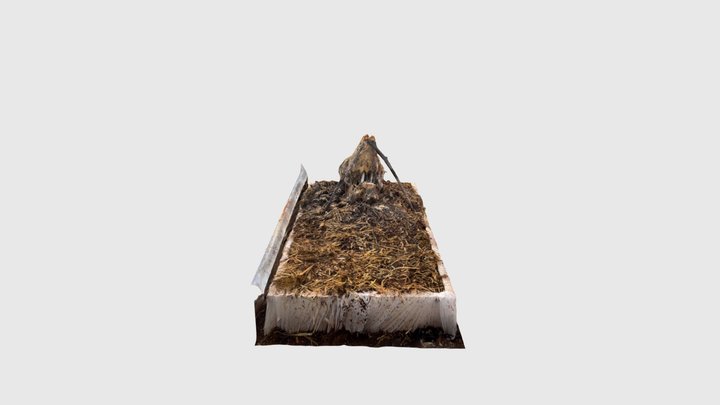 goat head 17.3 3D Model