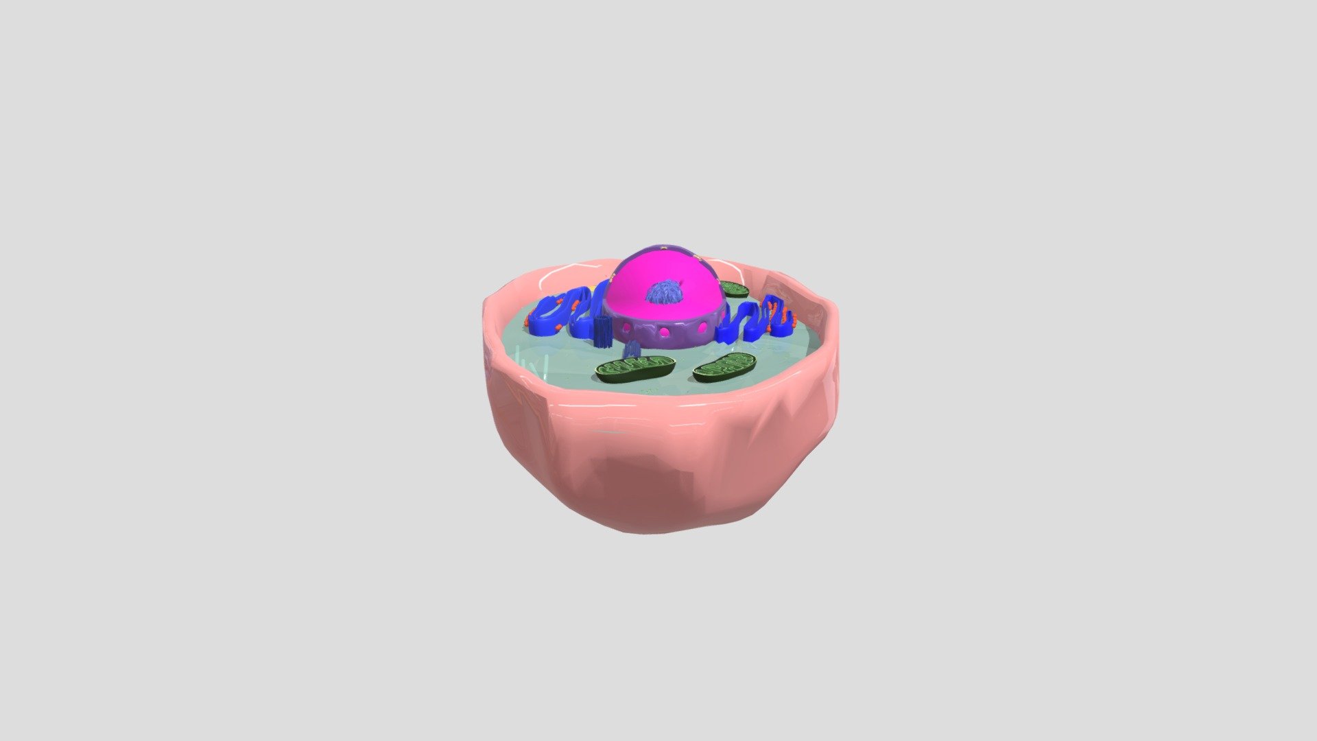 cell final edition - 3D model by muhamedbaqer [0e554cb] - Sketchfab