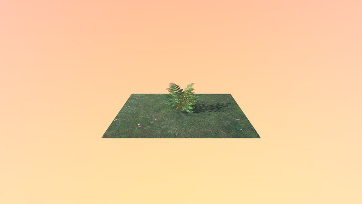 Farn 3D Model