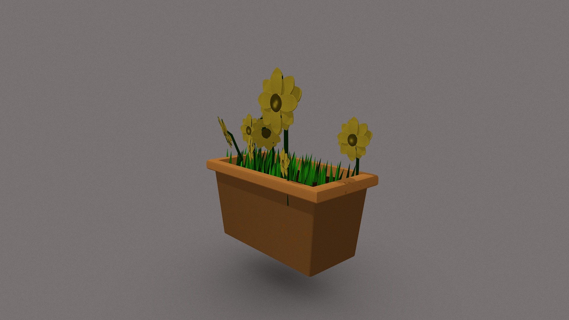 Planter D